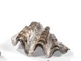 trois pièces métalliques argentées sont posées sur une surface blanche