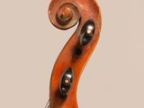 a close up of the back of a violin with a violin bow