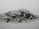 dessin représentant un chien allongé par terre, tenant un faisan dans la gueule