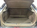 a trunk of a car with the back door open