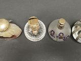 a lot of different types of shells on the table