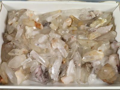 une boîte blanche remplie de plein de nourriture posée sur une table