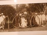framed photograph of a group of people posing for a picture in front of an elephant ' s tusks