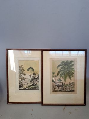 two framed pictures of a horse drawn carriage and a palm tree