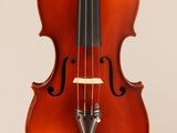 a close up of a violin on a white background