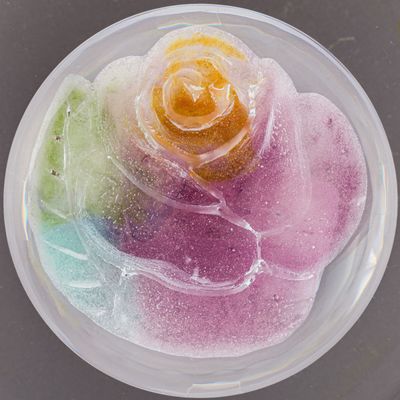 un récipient en plastique contenant une fleur aux couleurs vives
