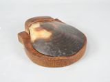 a small shell on a wooden stand on a white surface