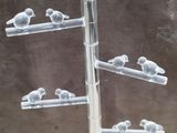 a lot of birds sitting on a tree made of glass