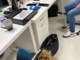 un homme assis sur une chaise devant un bureau équipé d'un ordinateur