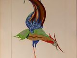 a painting of a bird with a long tail on a wall