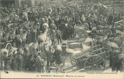 CPA : Excideuil (Dordogne) - Marché aux chevaux - Photo 1