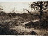 an image of a drawing of a stream running through a field