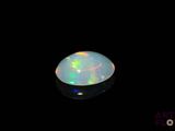 an oplite in the dark with a black background