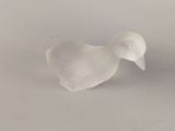 a small white bird that is sitting on a table