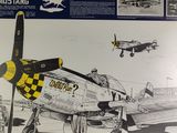 a drawing of an airplane with a checkered flag on it