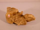 un petit morceau d'or sur une surface blanche