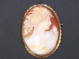 a close up of a woman ' s face in a shell cameo broocher