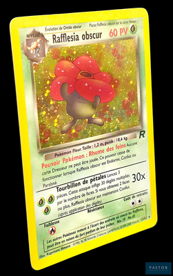 une carte Pokémon sur laquelle figure l'image d'un champignon rouge