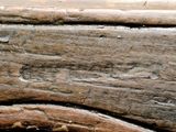 a close up of a piece of wood with a hole in it