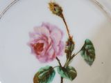 a white plate with a pink flower on it
