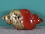 a red and gold shell with a red shell on it