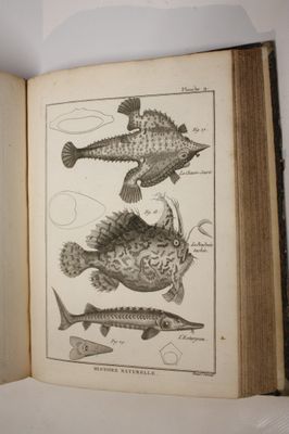 an open book with a drawing of fish on it