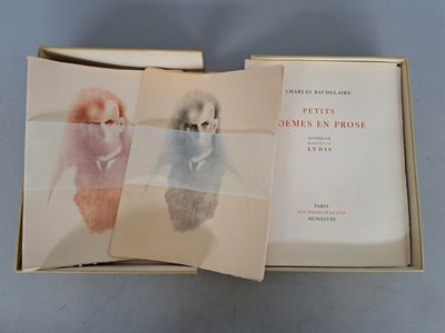 un livre ouvert dans lequel figure l'image de deux caniches