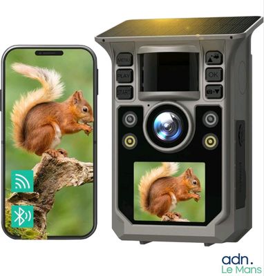 deux photos d'un écureuil et d'un écureuil sur un téléphone portable