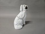 a white dog with a chain on it ' s neck