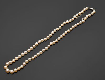 un collier composé d'un seul rang de perles, muni d'un fermoir en or