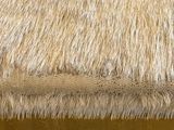an image of a close up view of a cow ' s skin