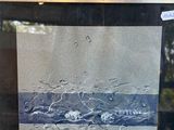 a picture of a painting on display in a glass case