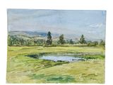 watercolor painting of a field with a pond in the middle of it