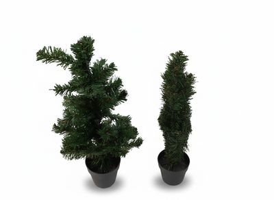 deux plantes en pot placées l'une à côté de l'autre