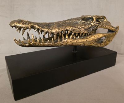 une image représentant un crâne de crocodile en or posé sur un socle noir