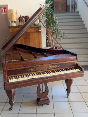 un piano à queue trônant au milieu d'un salon