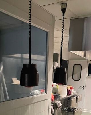 2 lampes chauffantes VENDU SUR DESIGNATION A LONS LE SAUNIER…