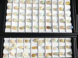 several rows of oplite stones in a display case on a table