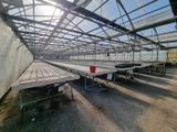 des rangées de tables et de bancs dans une grande serre, avec le ciel en arrière-plan