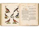 an old book with a bunch of birds sitting on top of it