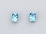 a pair of blue topaze earrings on a white background