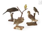 beaucoup d'oiseaux posés sur un socle en bois