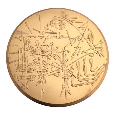 an image of a gold coin with a map on it