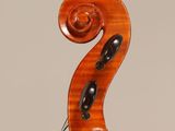 a close up of the back of a violin