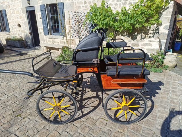 Véhicule hippomobile quatre roues, deux chevaux ; Vendu sur désig...