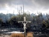 a cross in the middle of a burned area with trees in the background
