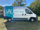 an image of a van that is parked in the grass