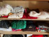 many hats and scarves on a shelf in a closet