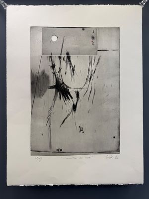 une image représentant une photo en noir et blanc d'un tableau accroché au mur