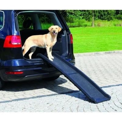 un chien debout sur une rampe à l'arrière d'une voiture